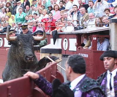 TORO VOLADOR